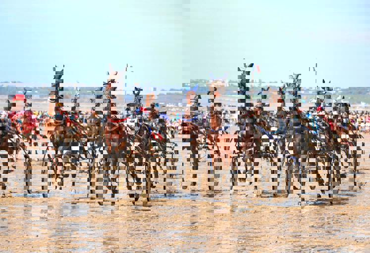 Giant Sand Sculpture Competition Transforms Beachscape